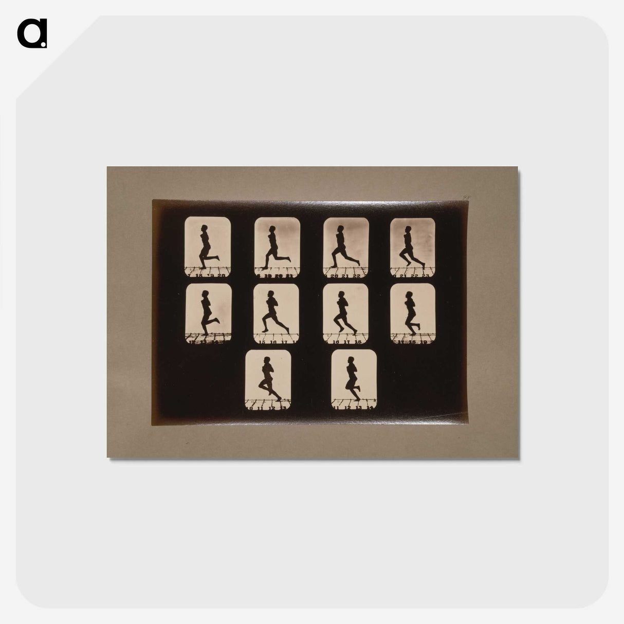 2-41_Eadweard-Muybridge_postcard