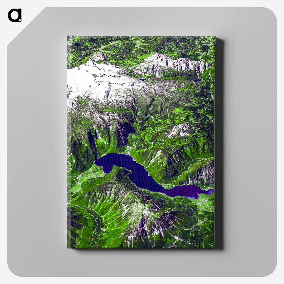 2-41_Earth-from-Above_canvas