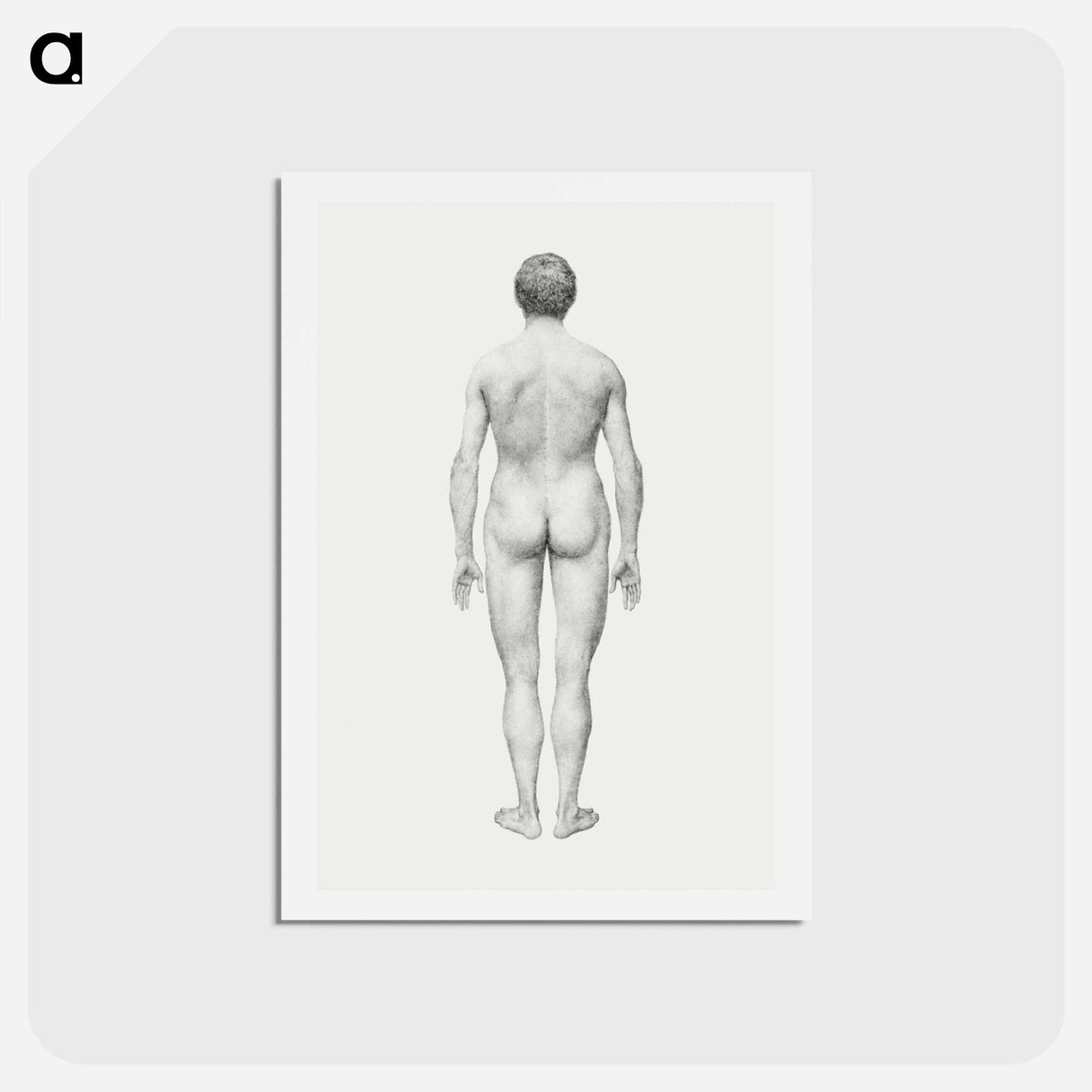 アートポストカード-Human Figure, Posterior View
- ジョージ スタッブス Postcard.