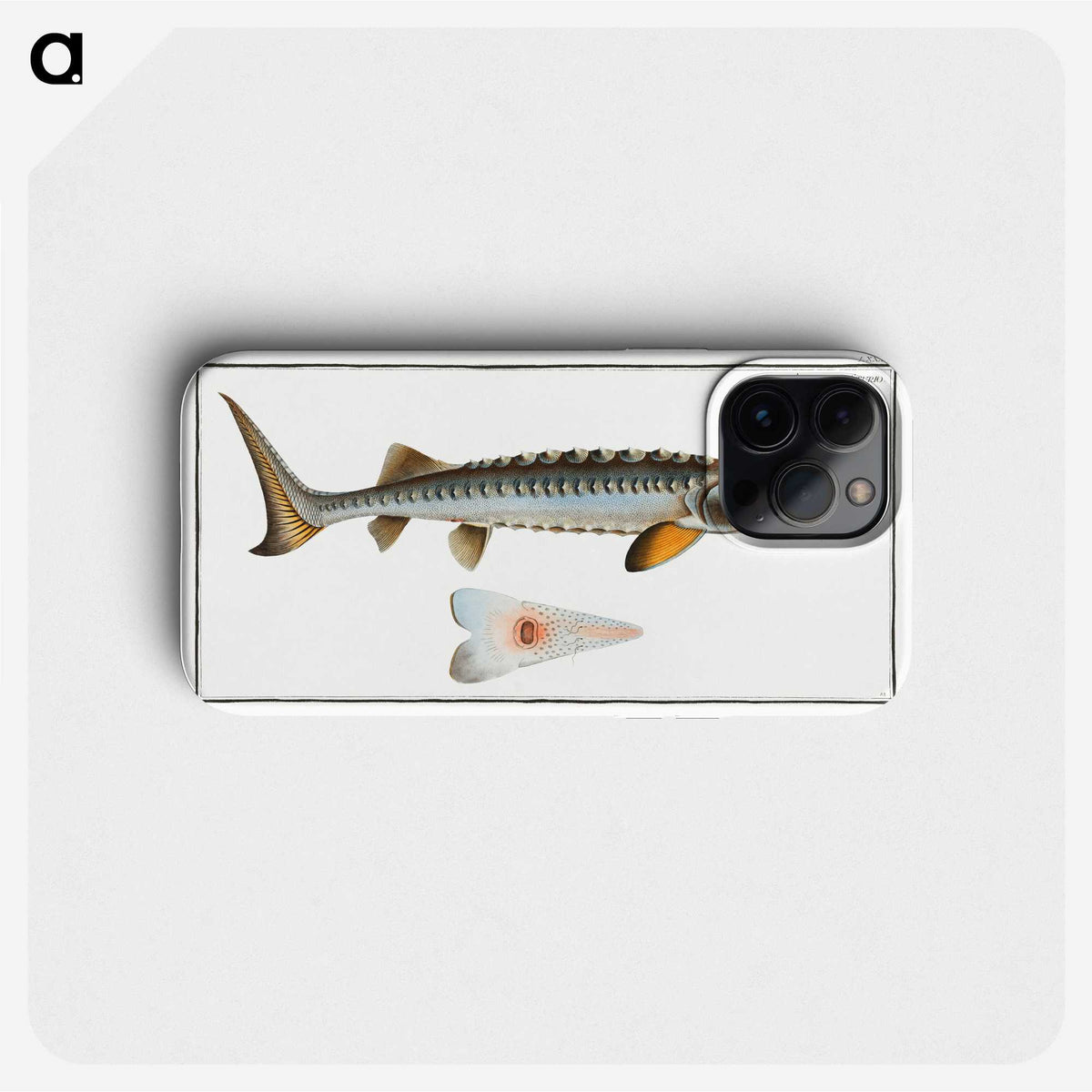 2-41_Ichtyologie-ou-Histoire-naturelle_phone