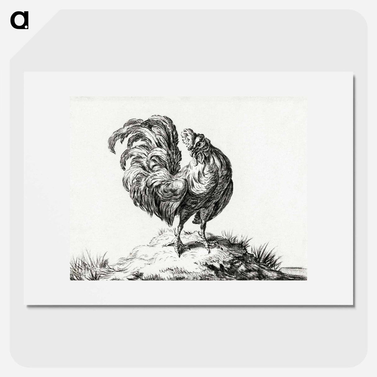 Chicken, standing on a hill - ジャン ベルナール Poster.