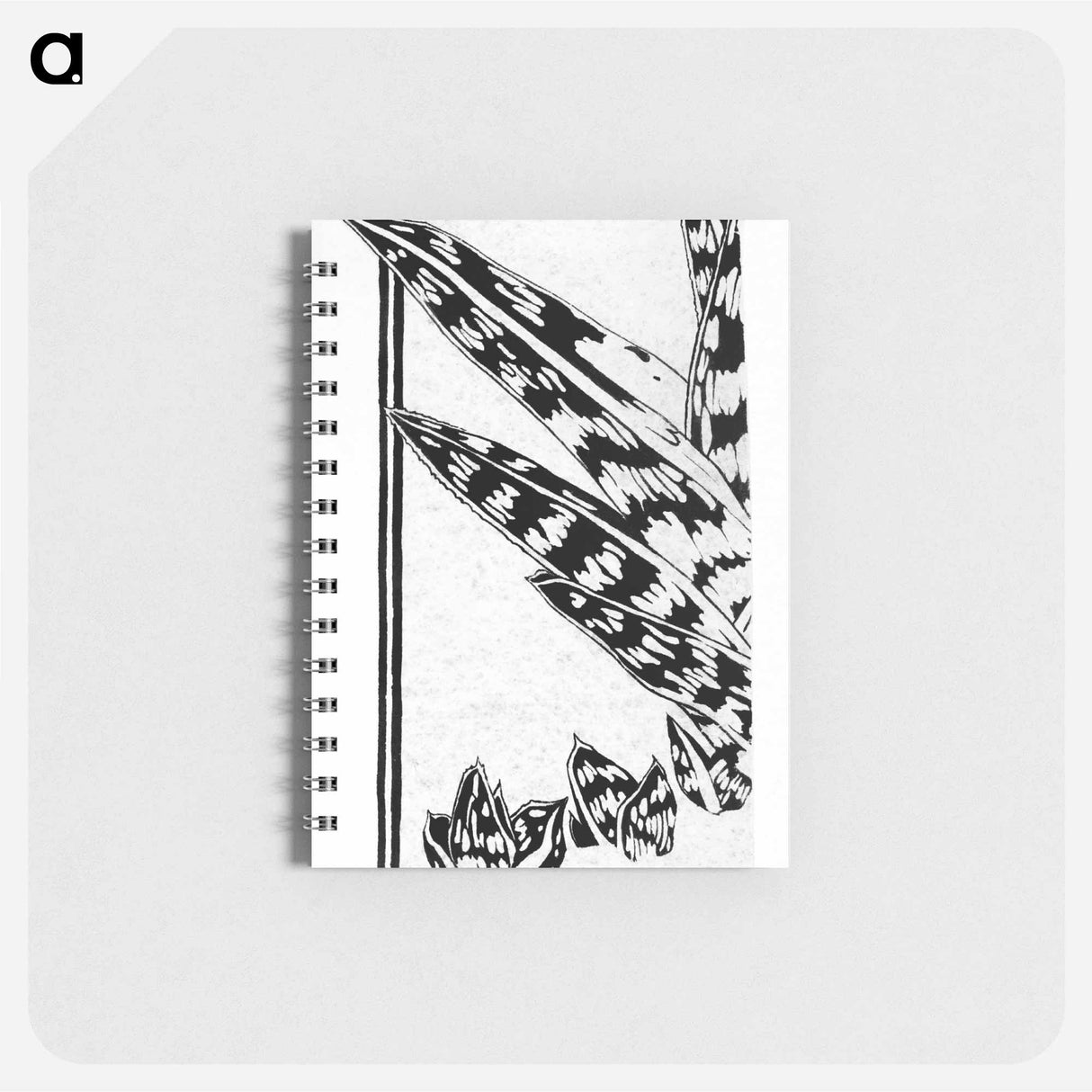 Fragment of a study of a succulent plant - ユリー デ フラーハ Memo.