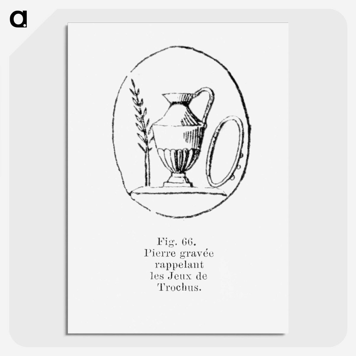 2-41_Les-Palmiers-Histoire-Iconographique_picture-crop
