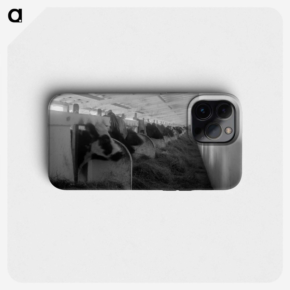 2-41_Leslie-Adkin_phone