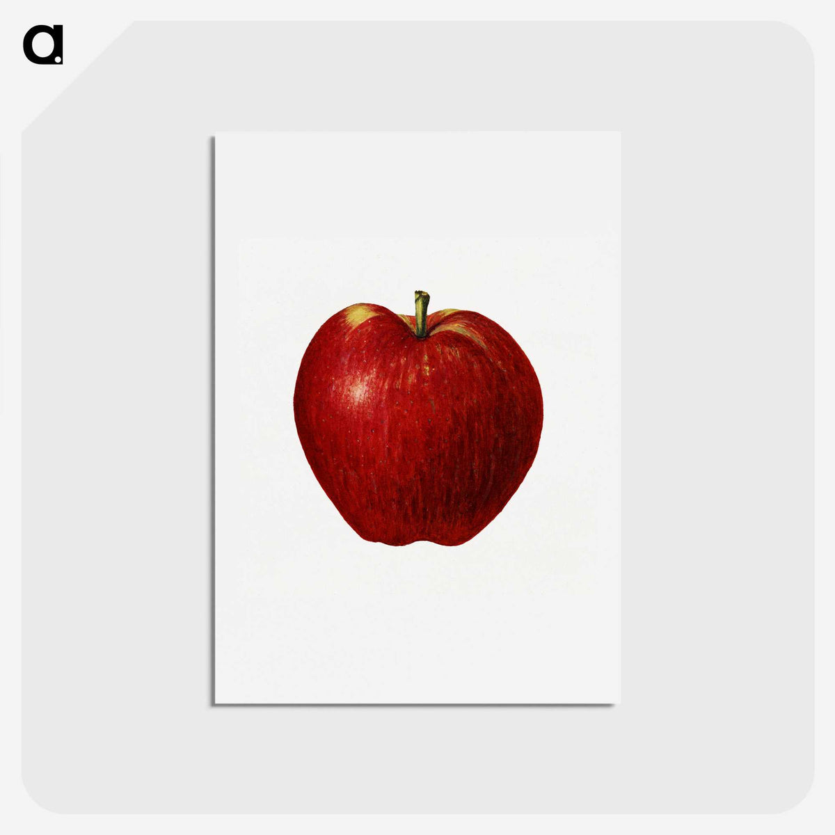 2-41_USDA-Watercolor-Fruit-Painting-Collection_hagaki