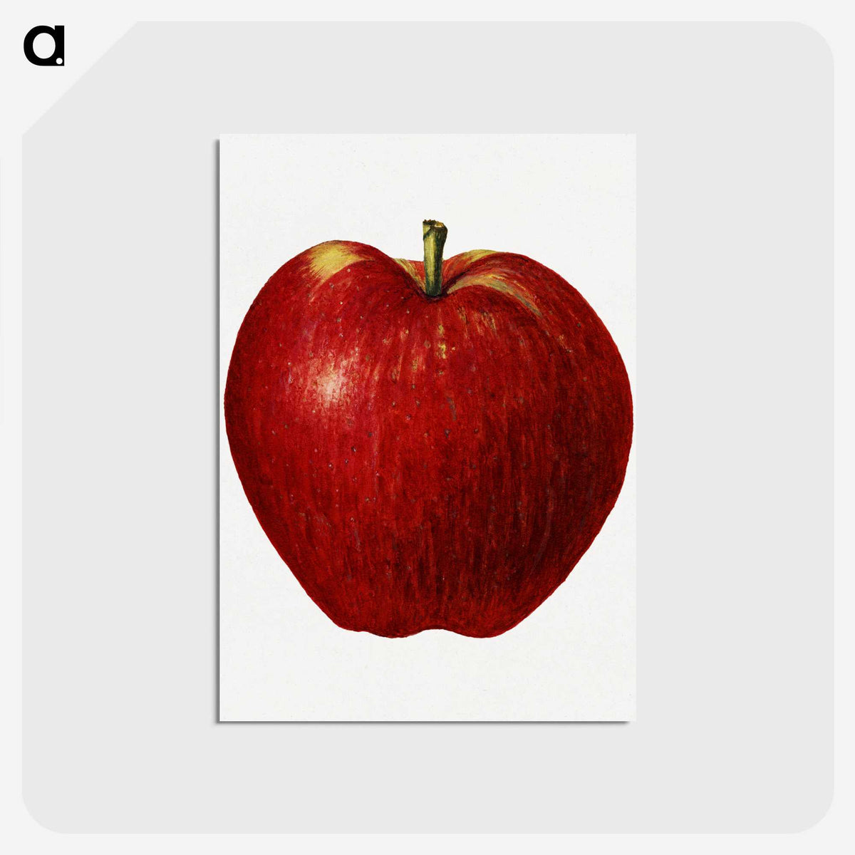 2-41_USDA-Watercolor-Fruit-Painting-Collection_postcard