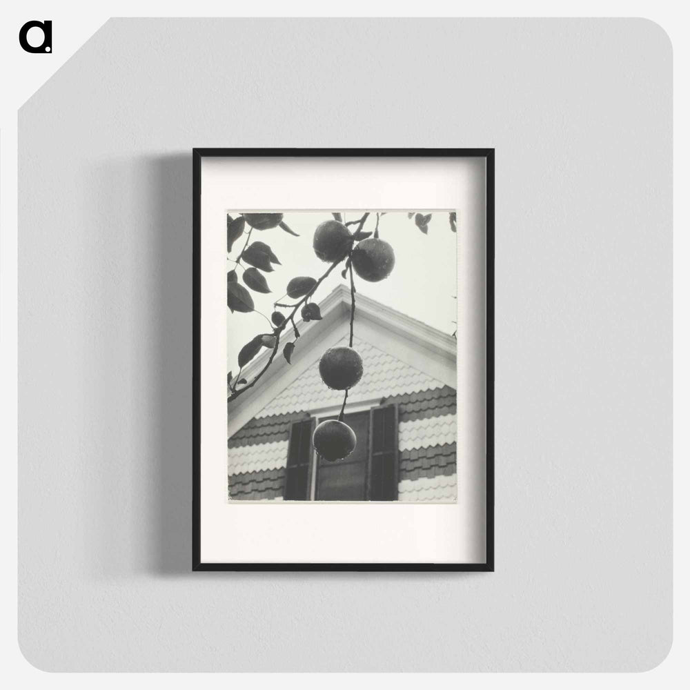 Gable and Apples - アルフレッド スティーグリッツ Poster.