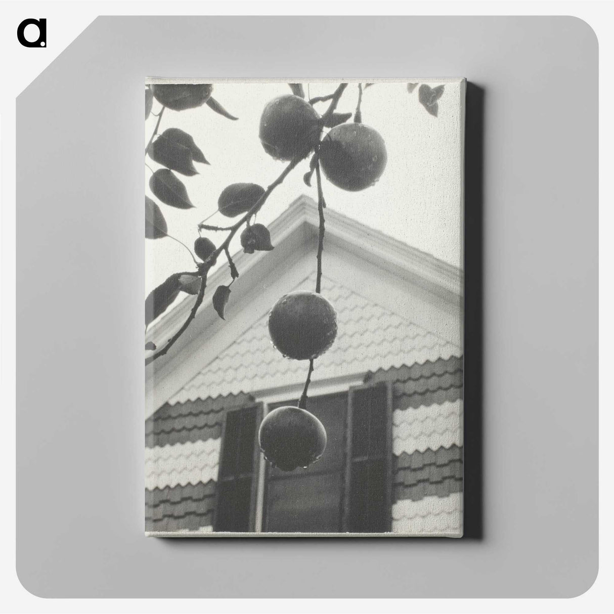 2-42_Alfred-Stieglitz_canvas