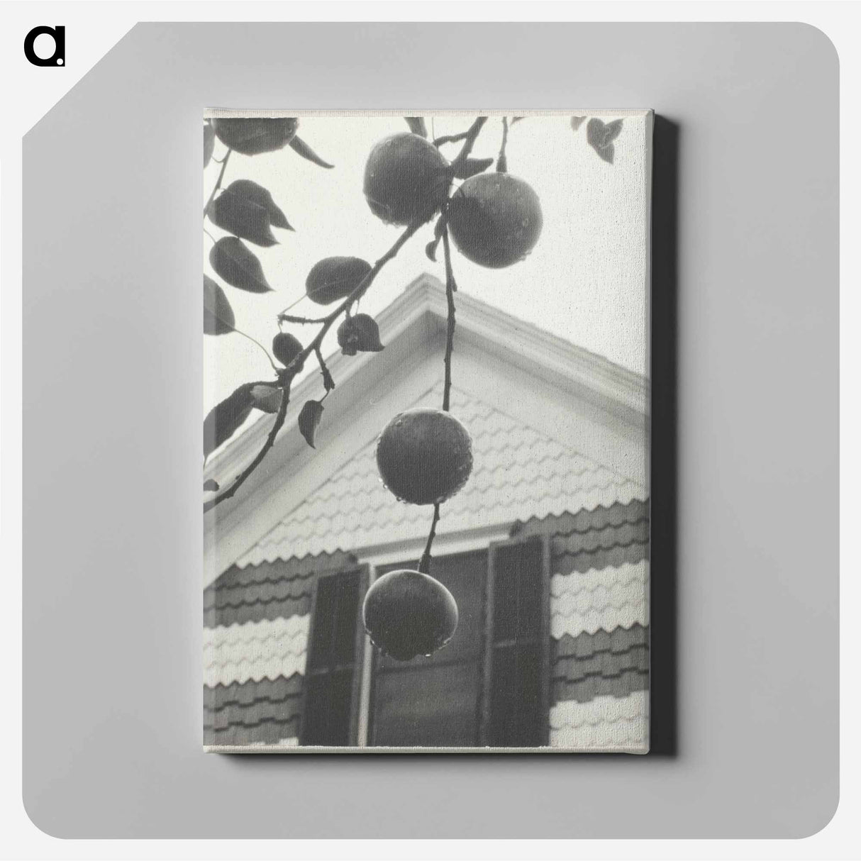 Gable and Apples - アルフレッド スティーグリッツ Canvas.
