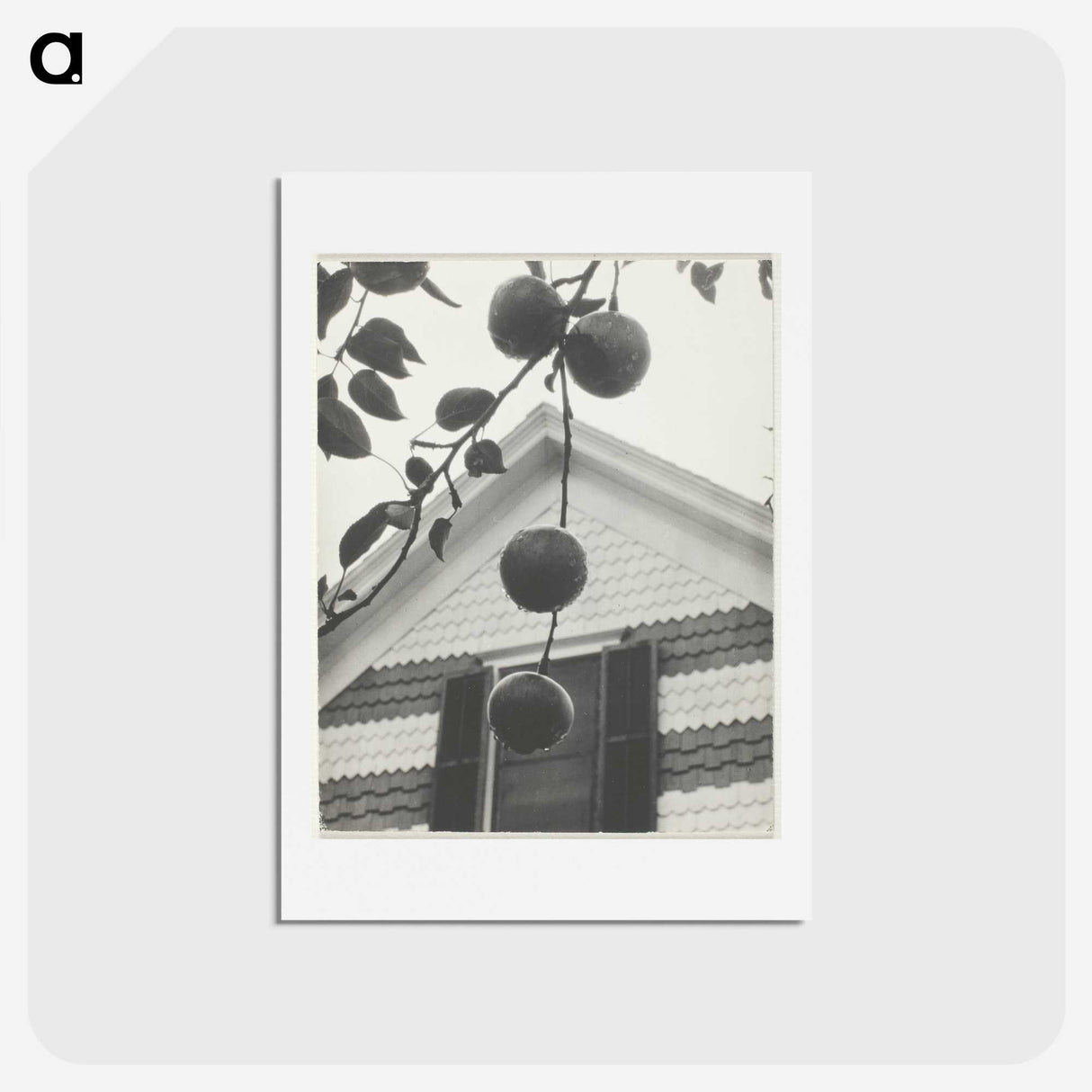 2-42_Alfred-Stieglitz_hagaki