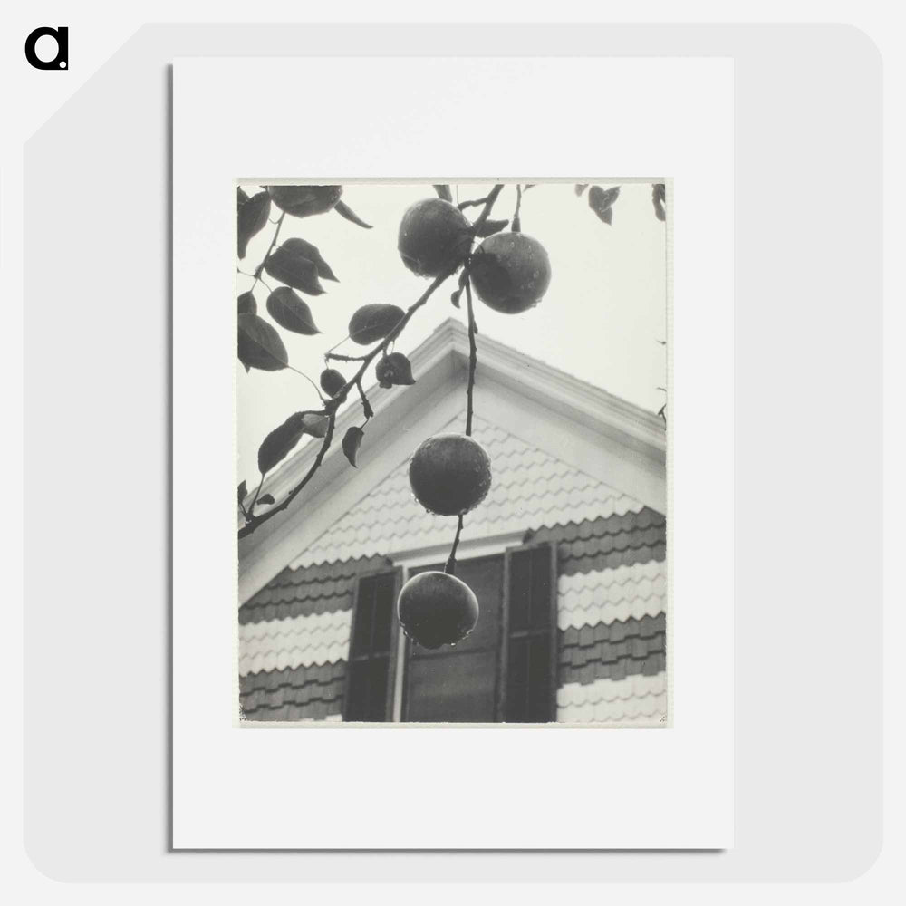 Gable and Apples - アルフレッド スティーグリッツ Poster.