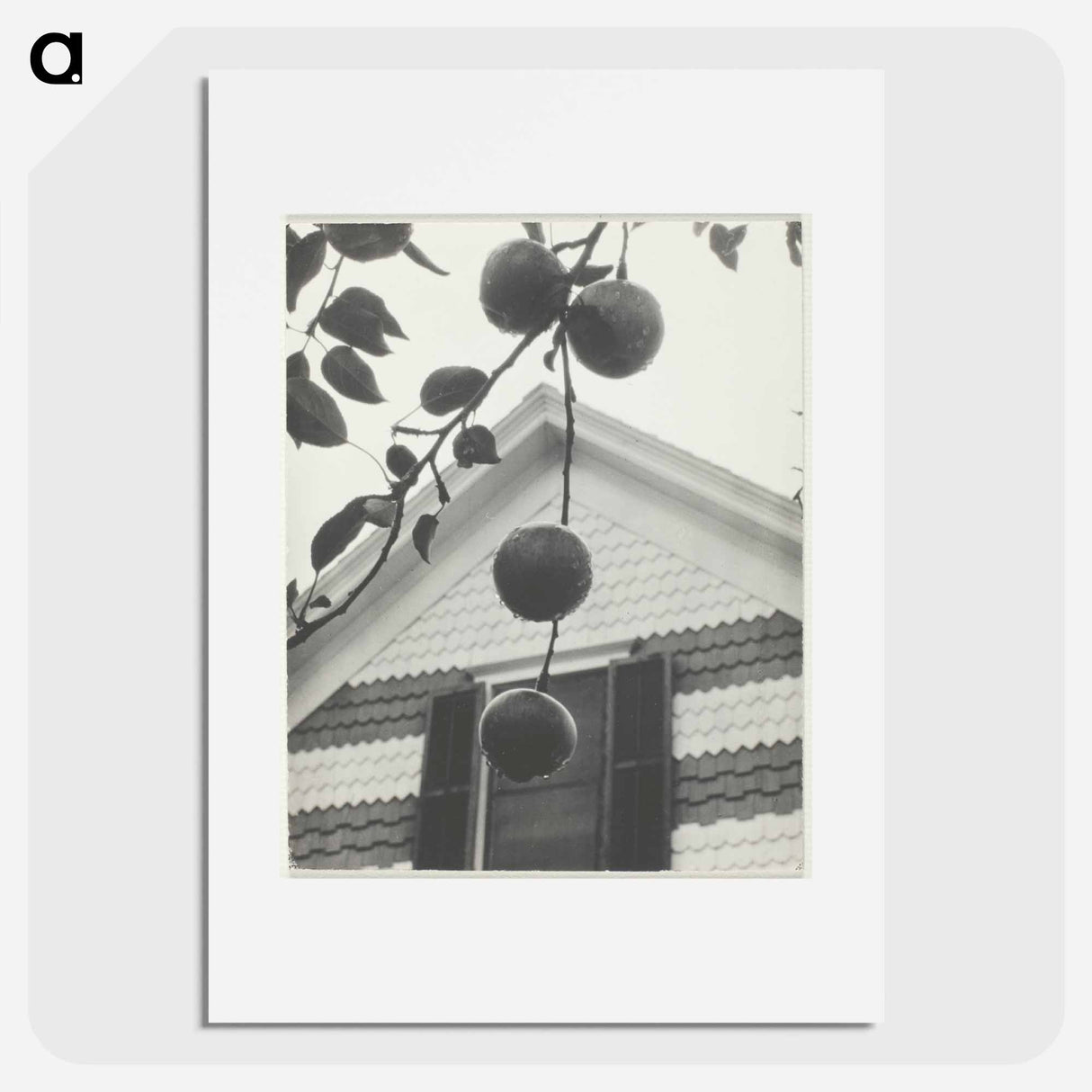 Gable and Apples - アルフレッド スティーグリッツ Poster.