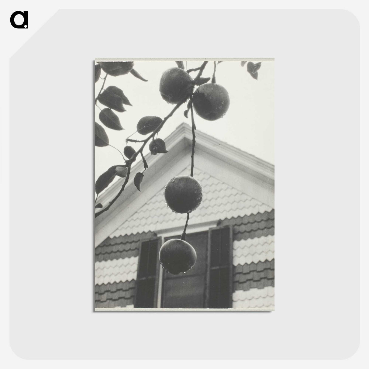 2-42_Alfred-Stieglitz_postcard