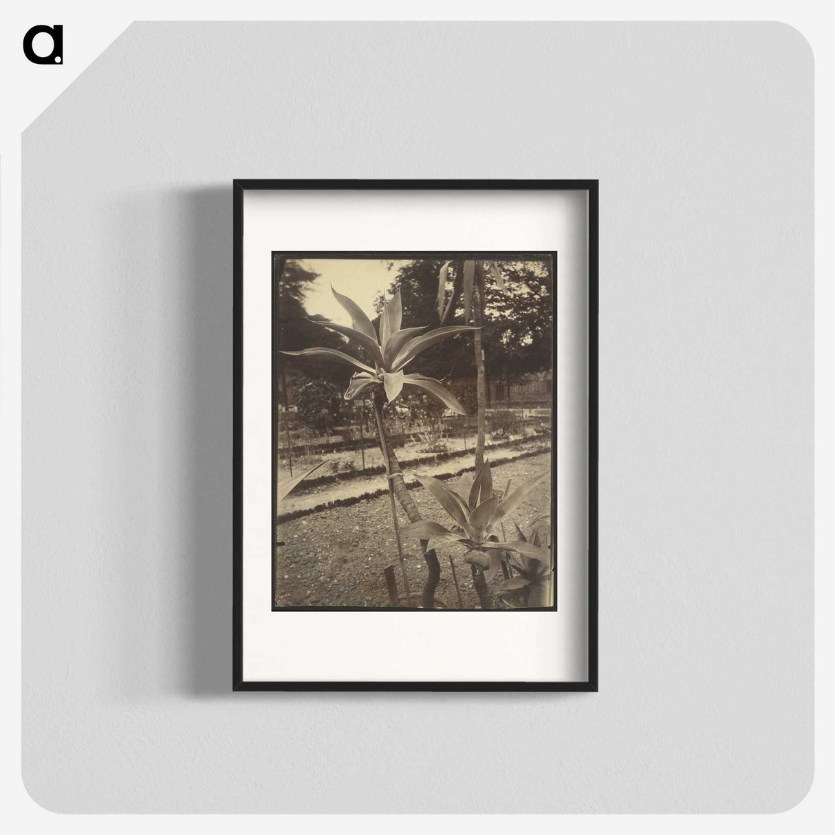 2-42_Eugene-Atget_blk