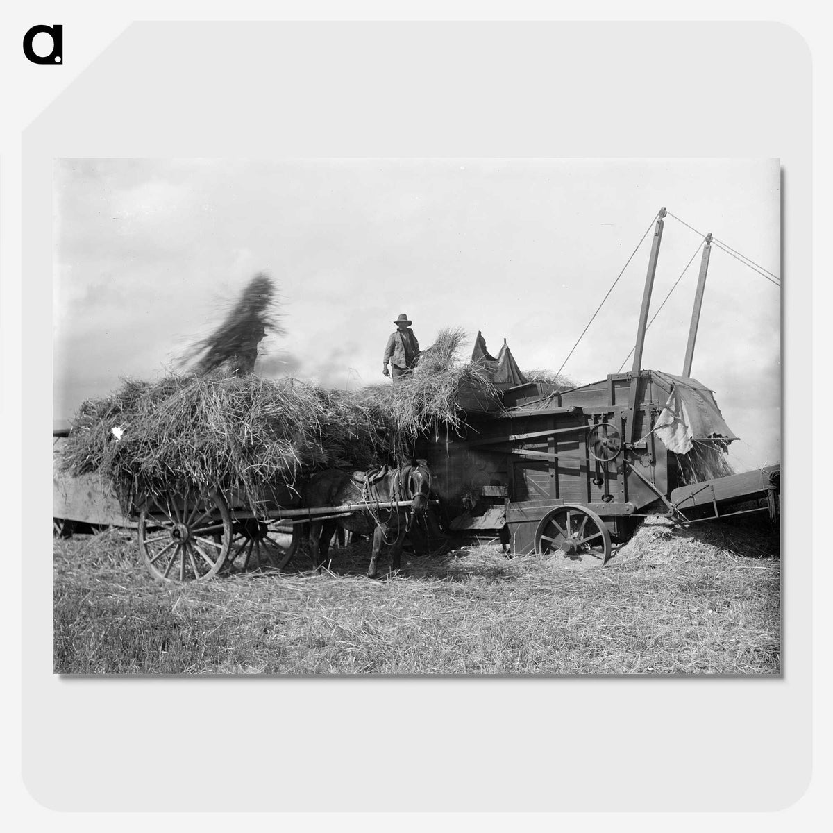 2-42_Frederick-Charles-Brockett_picture-crop