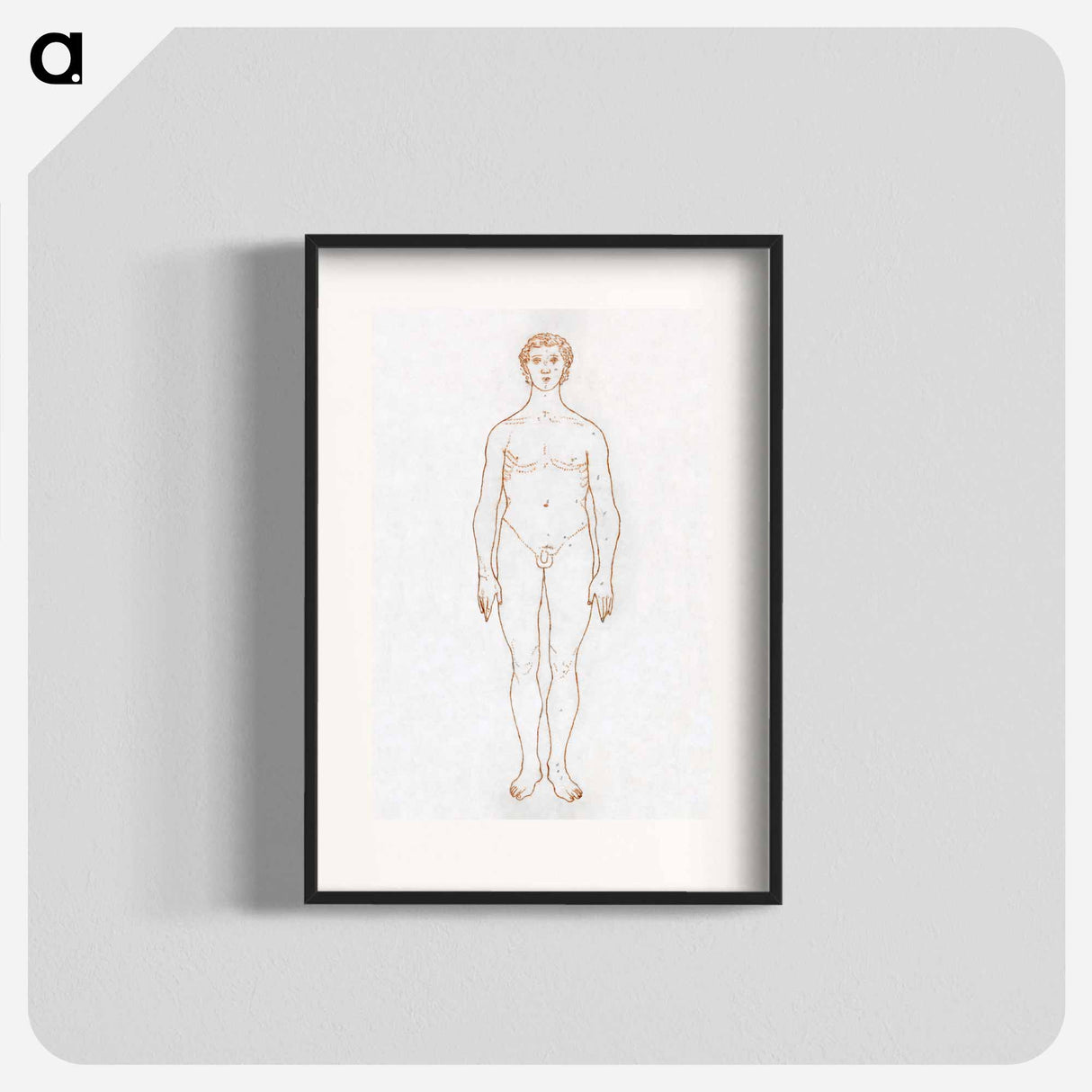 アートポスター-Anterior View of Human Figure
- ジョージ スタッブス Poster.
