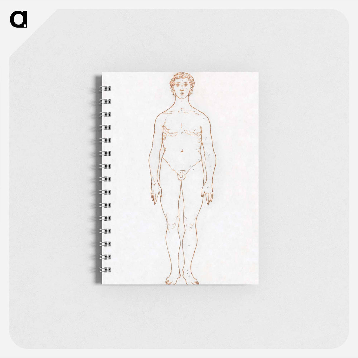 アートメモ帳-Anterior View of Human Figure
- ジョージ スタッブス Memo.