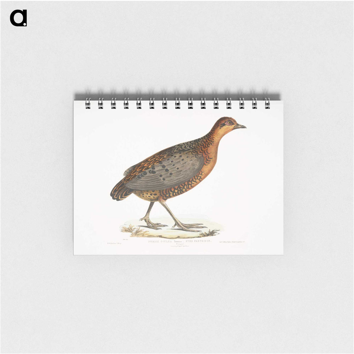 2-42_Indian-Zoology_memo