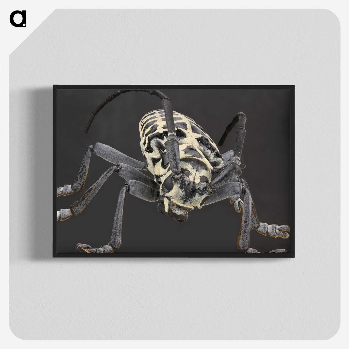 2-42_Insects-Unlocked-Project_blk-crop