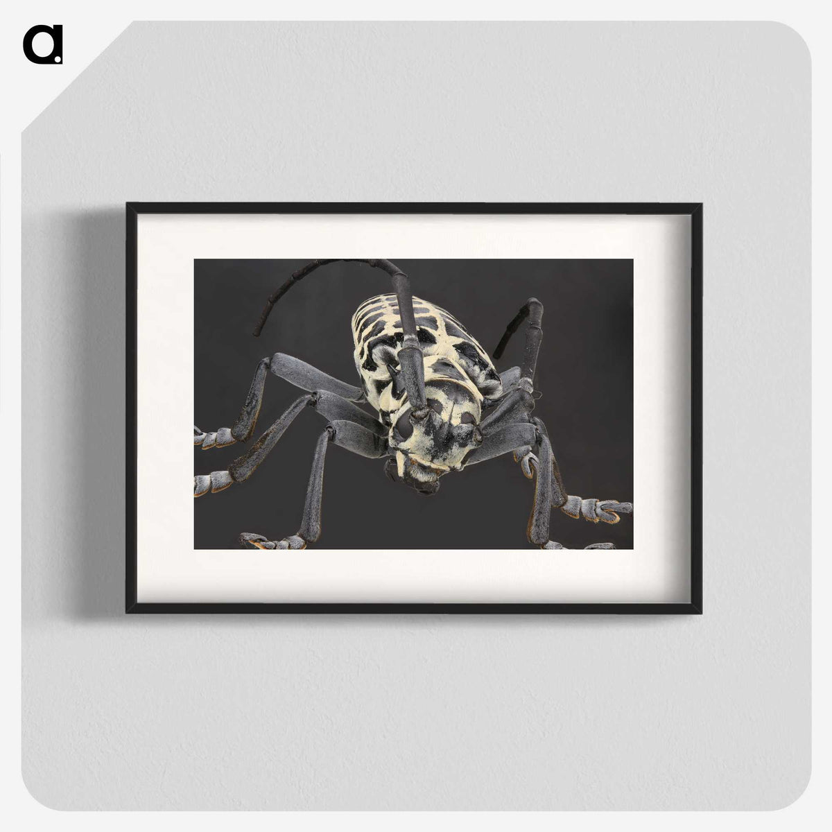 2-42_Insects-Unlocked-Project_blk