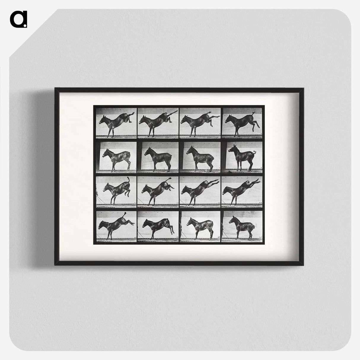 2-43_Eadweard-Muybridge_blk