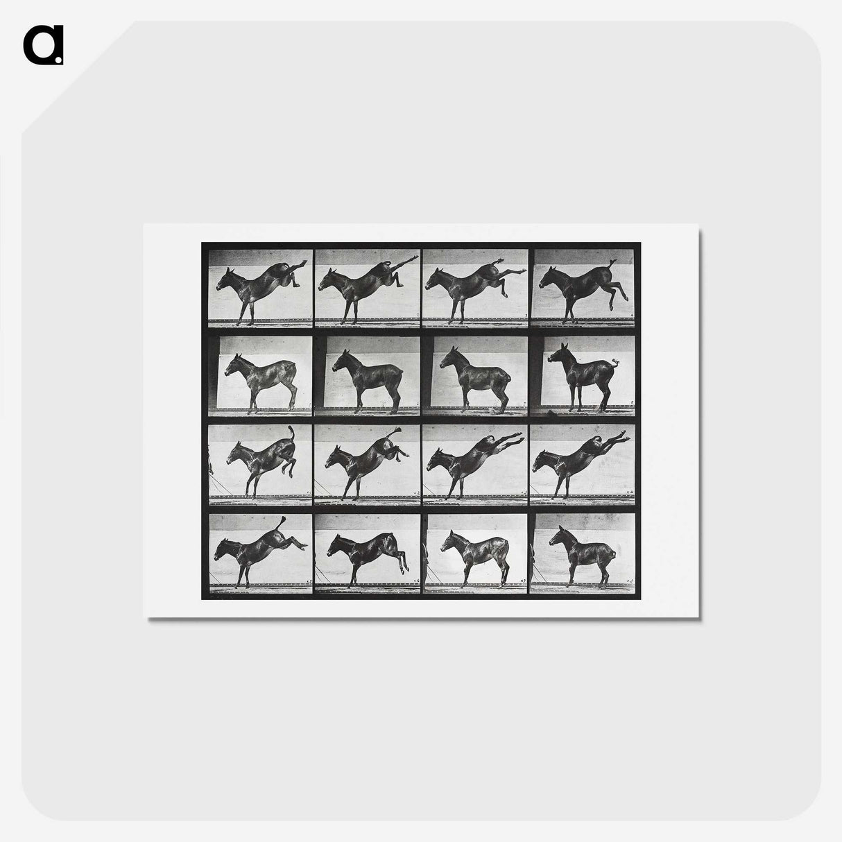 2-43_Eadweard-Muybridge_hagaki