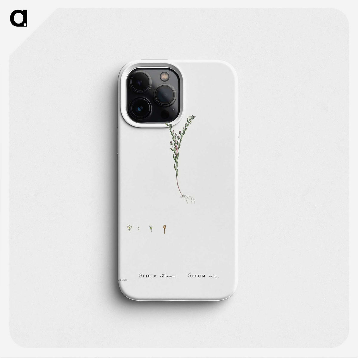 2-43_Histoire-des-Plantes-Grasses_phone