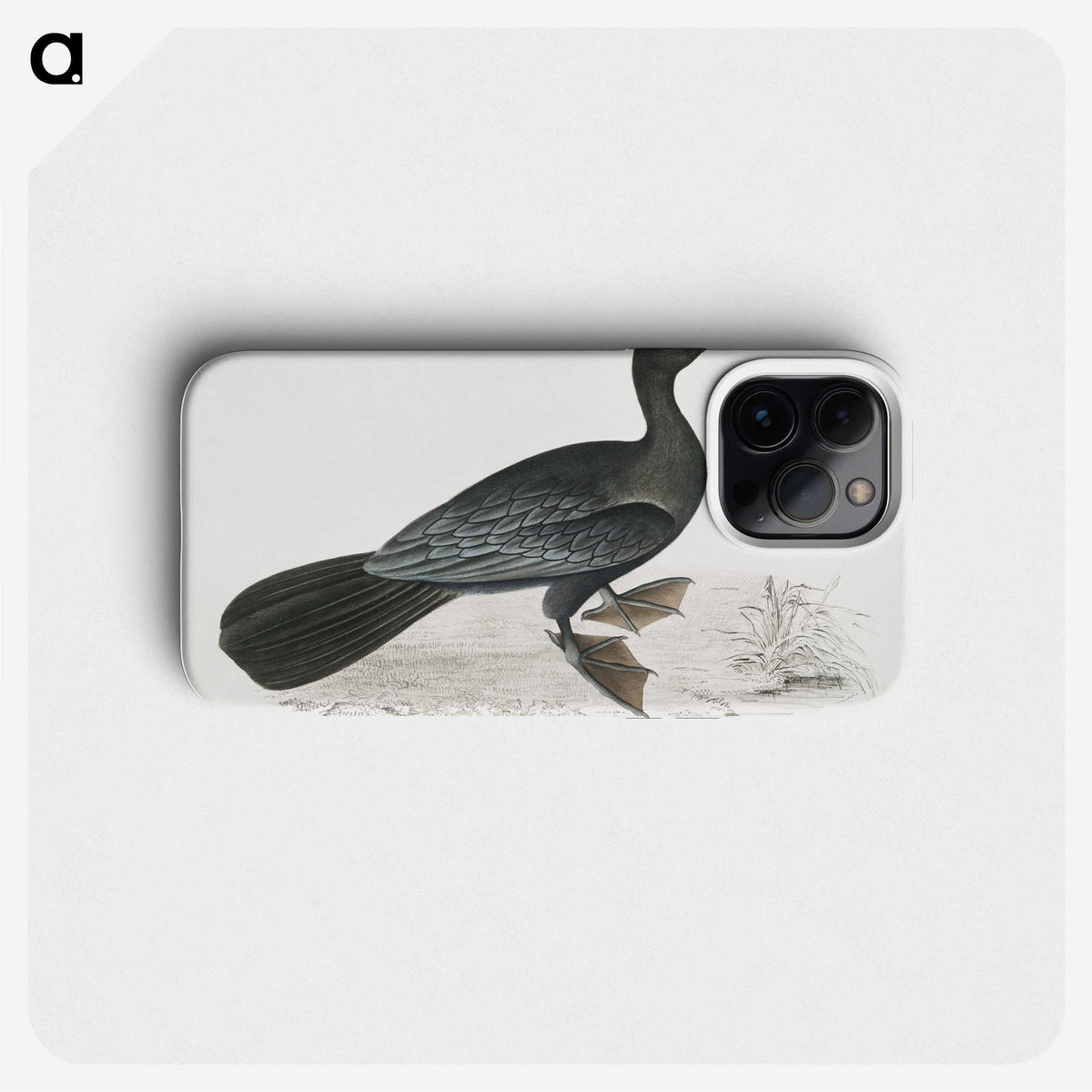 2-43_Indian-Zoology_phone
