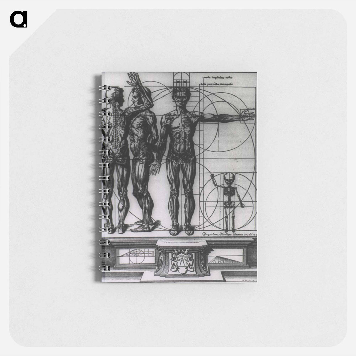 アートメモ帳-Myologic Plate of Three Muscle Manikins
- 国立医学図書館 Memo.