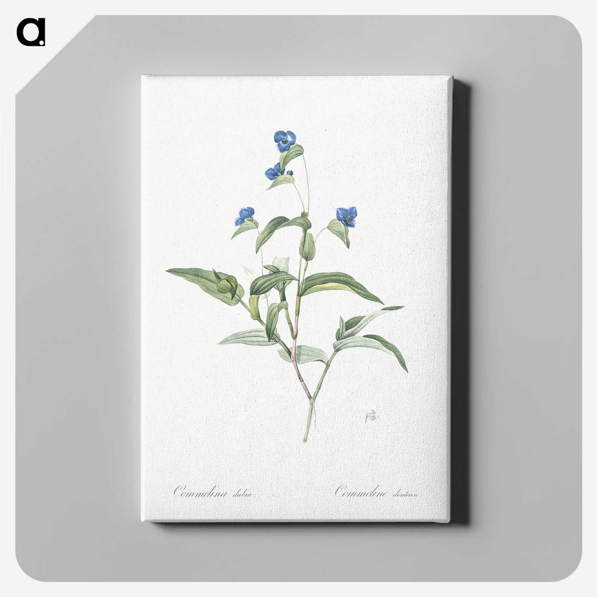 2-43_The-Lilies_canvas