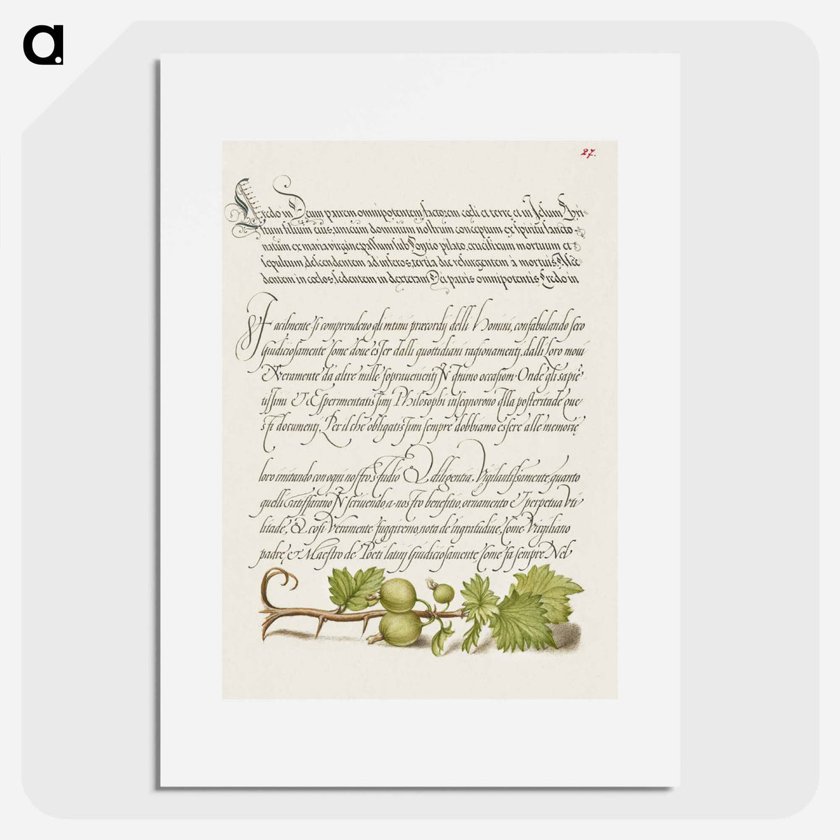 アートポスター-European Currant from Mira Calligraphiae Monumenta
- 書道のお手本 Poster.