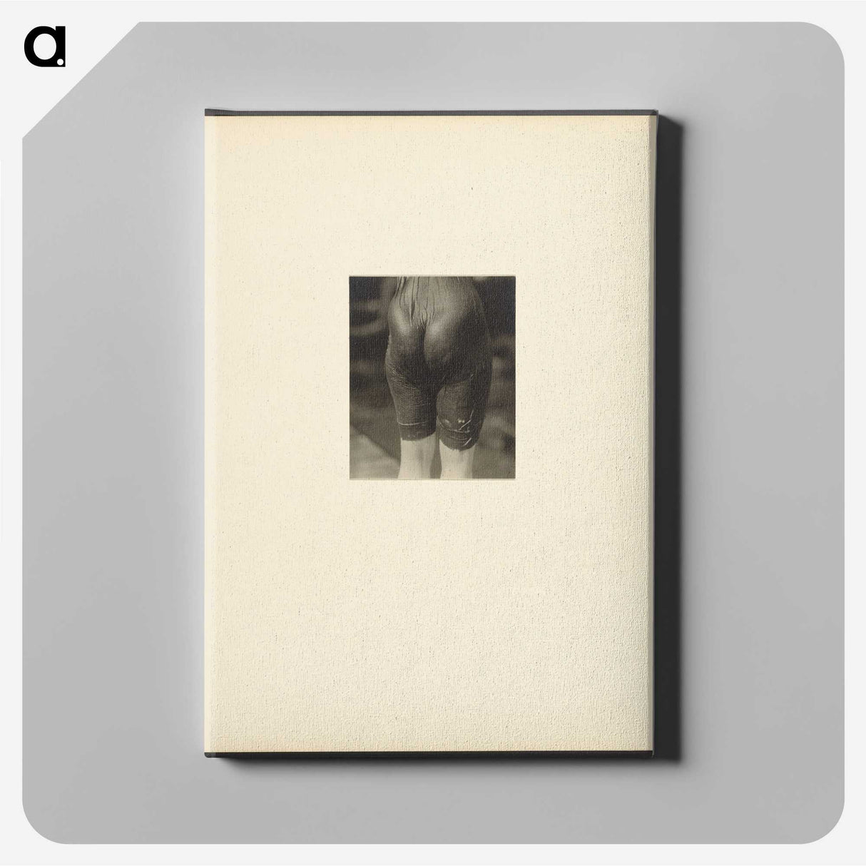 2-44_Alfred-Stieglitz_canvas