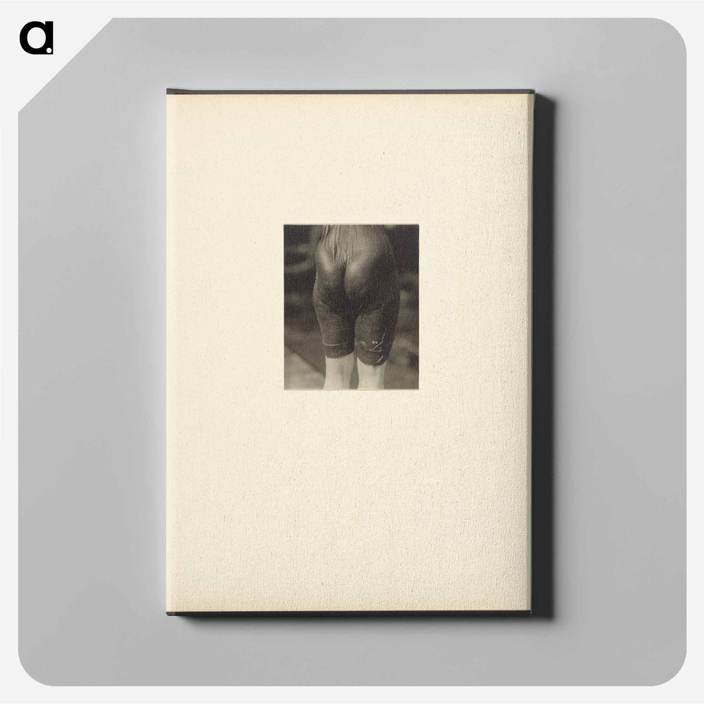 Lake George - アルフレッド スティーグリッツ Canvas.