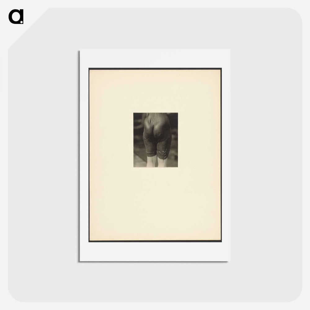 Lake George - アルフレッド スティーグリッツ Postcard.