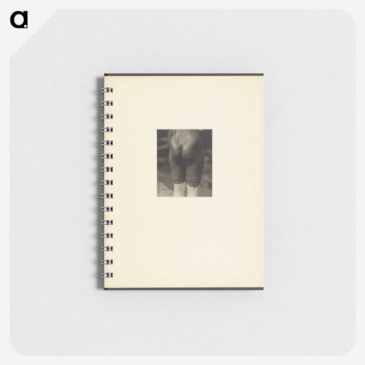 2-44_Alfred-Stieglitz_memo