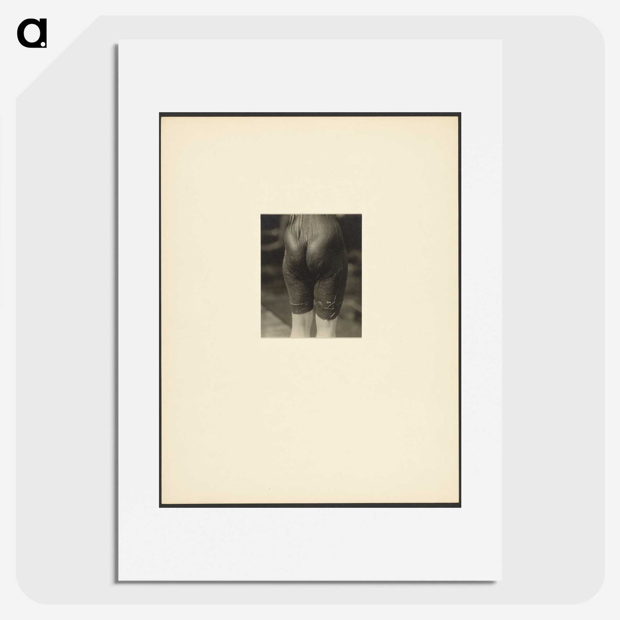 2-44_Alfred-Stieglitz_picture