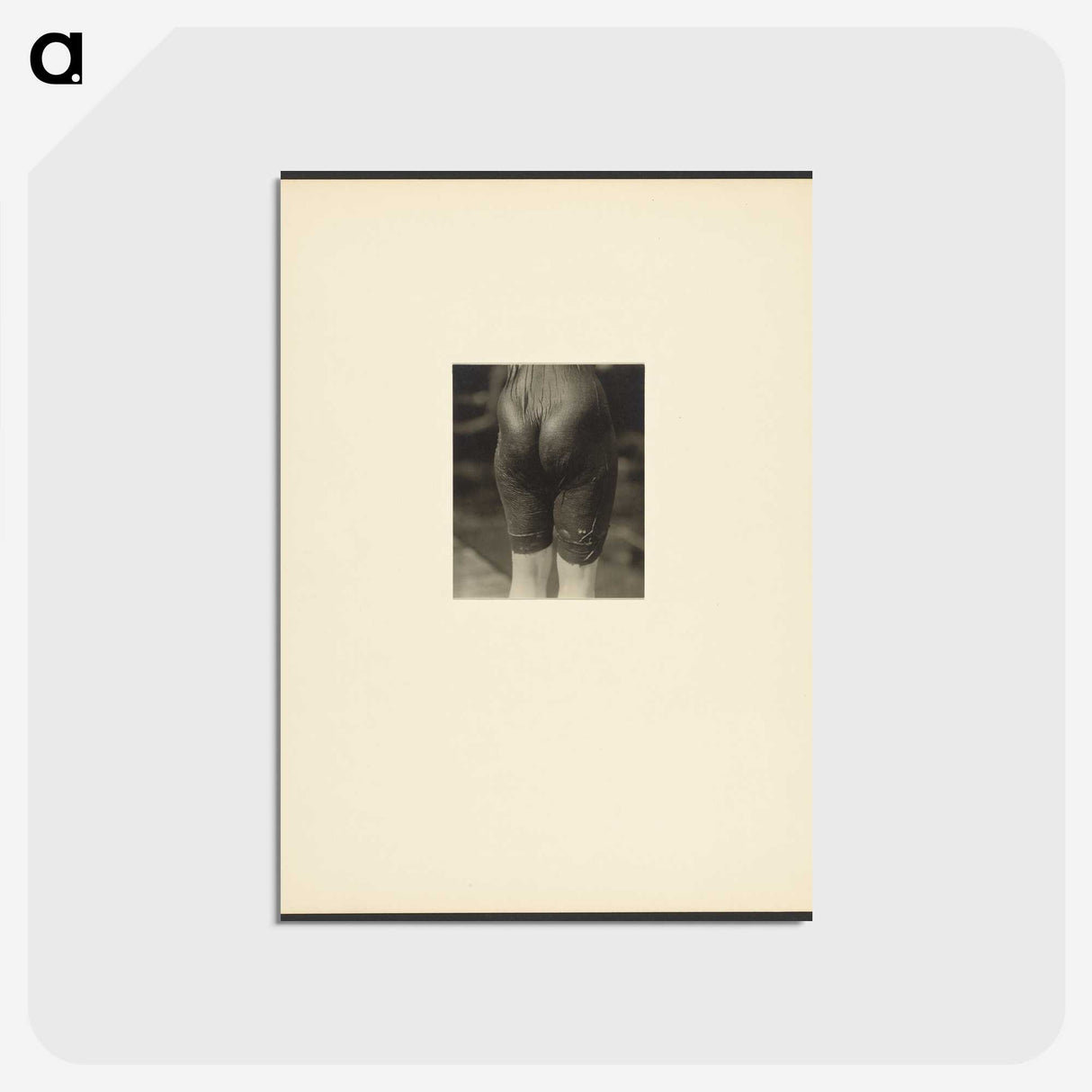 2-44_Alfred-Stieglitz_postcard