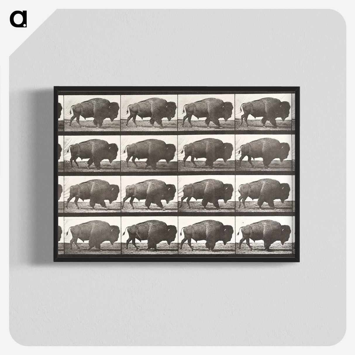 2-44_Eadweard-Muybridge_blk-crop