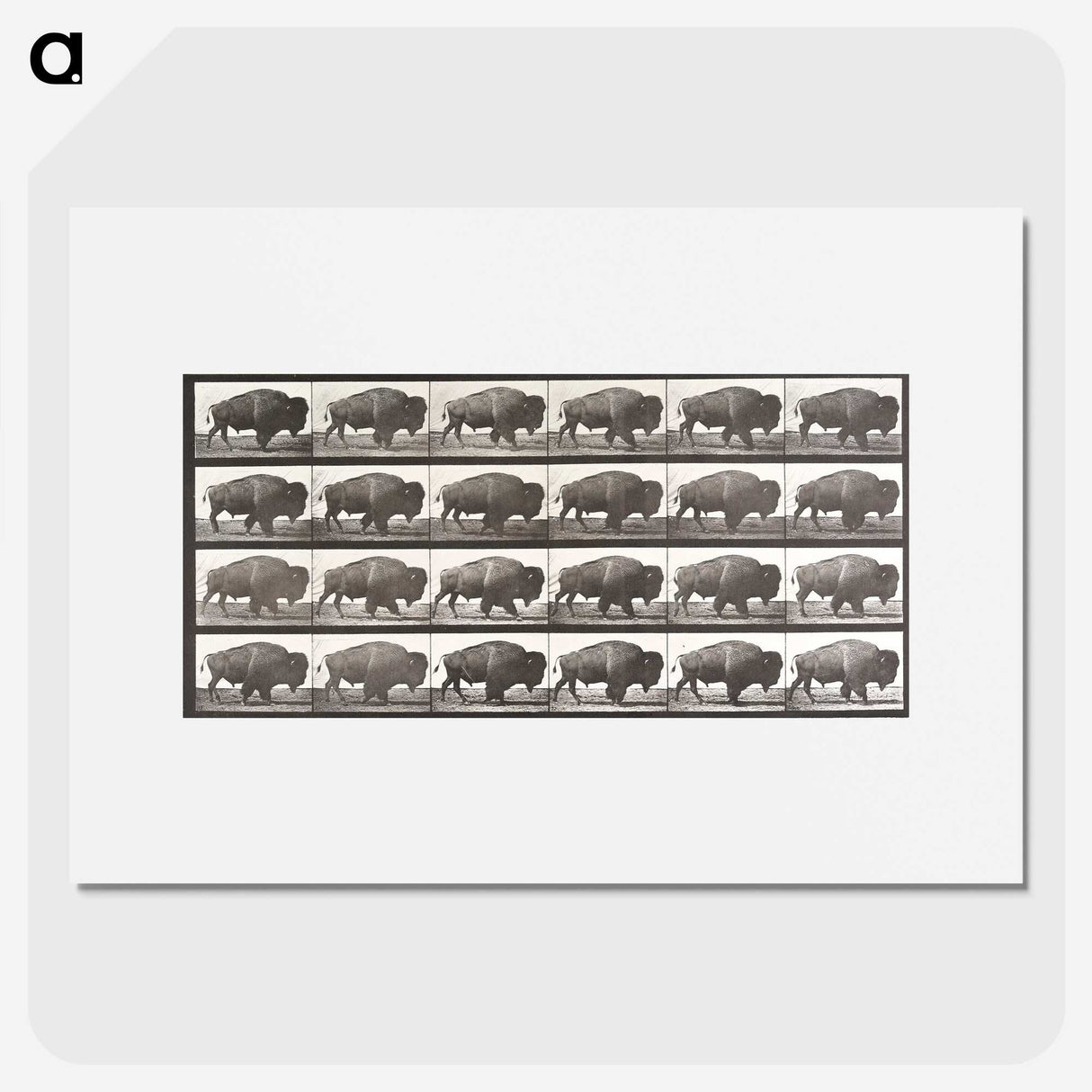 2-44_Eadweard-Muybridge_picture