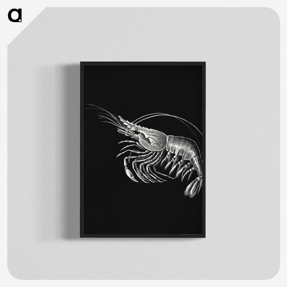 2-44_Ernst-Haeckel_blk-crop