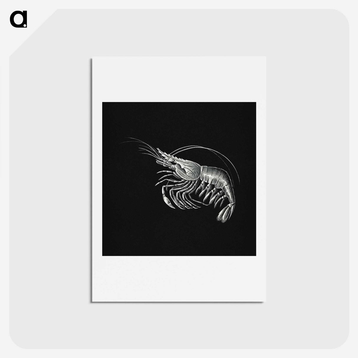 2-44_Ernst-Haeckel_hagaki