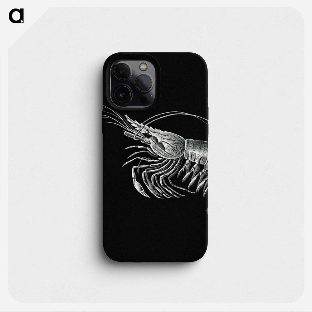 Vintage prawn marine life illustration - エルンスト ヘッケル Phone Case.