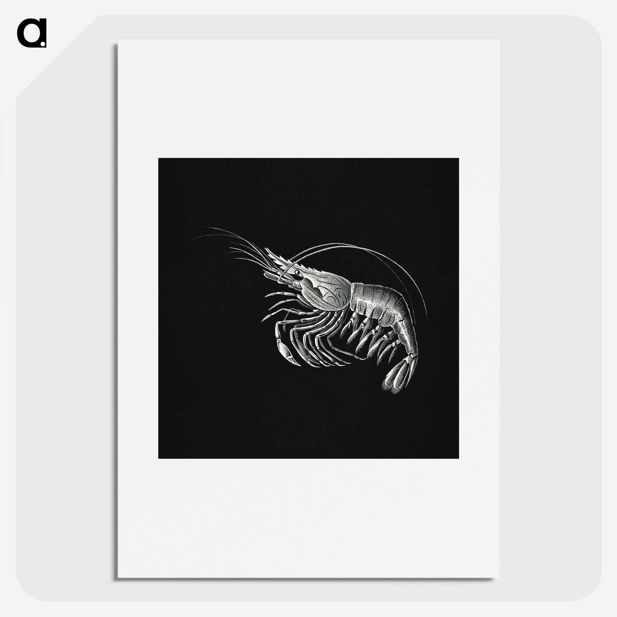 2-44_Ernst-Haeckel_picture