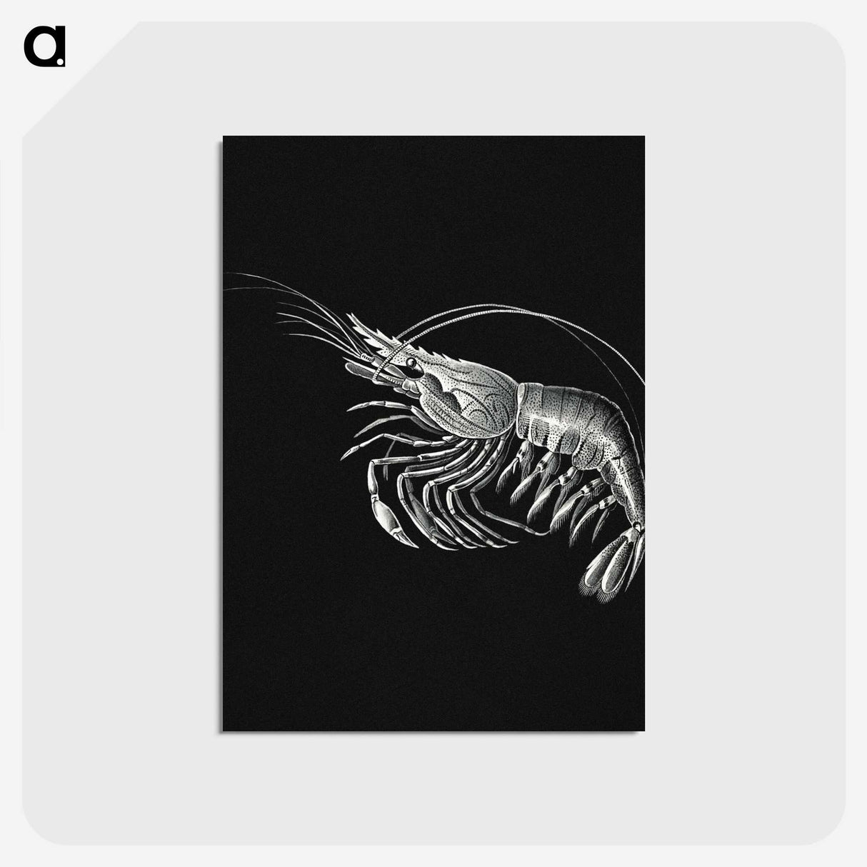 2-44_Ernst-Haeckel_postcard