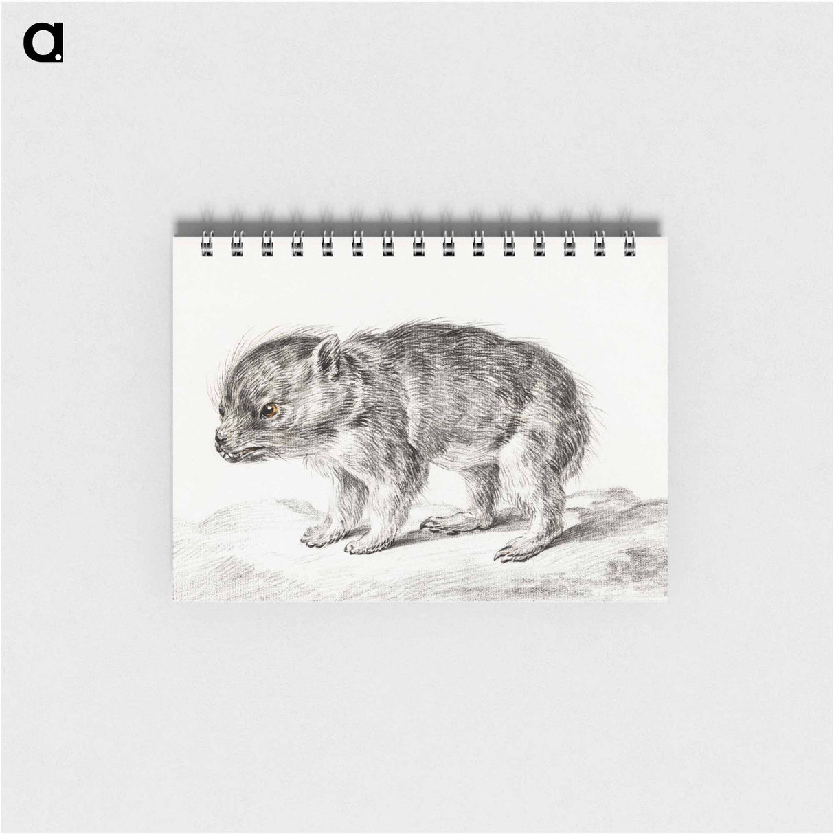 Young bear - ジャン ベルナール Memo.