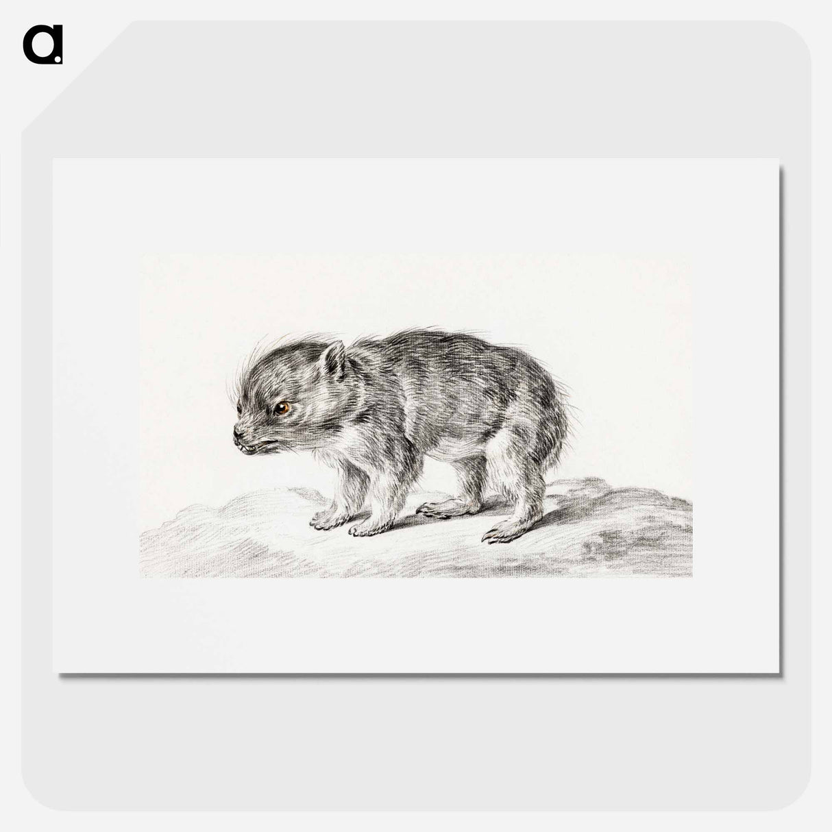 Young bear - ジャン ベルナール Poster.