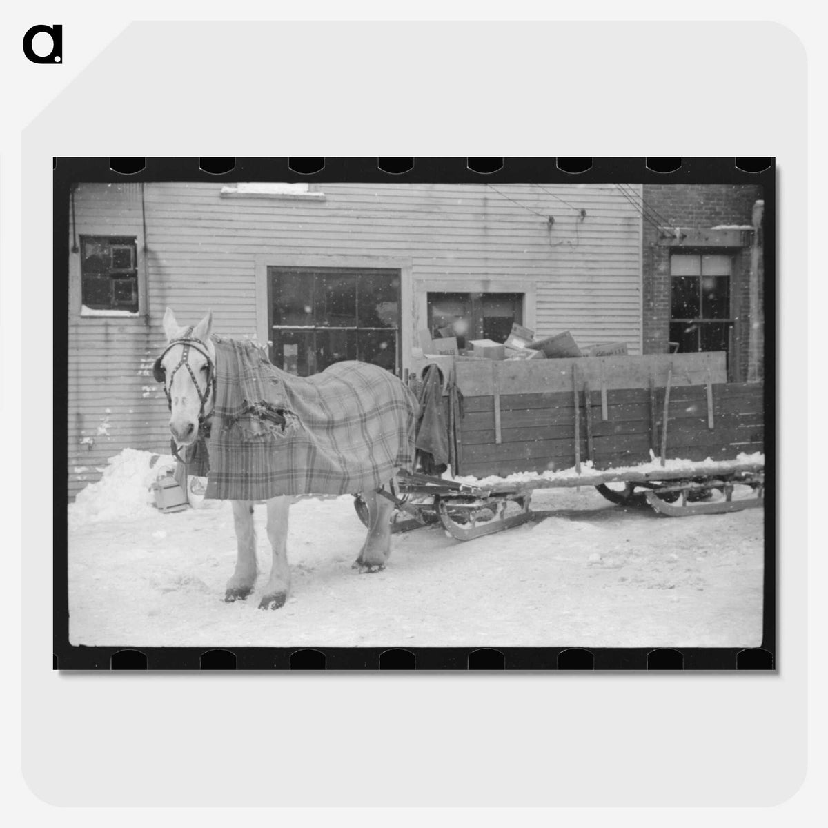 2-44_Marion-Post-Wolcott_picture-crop