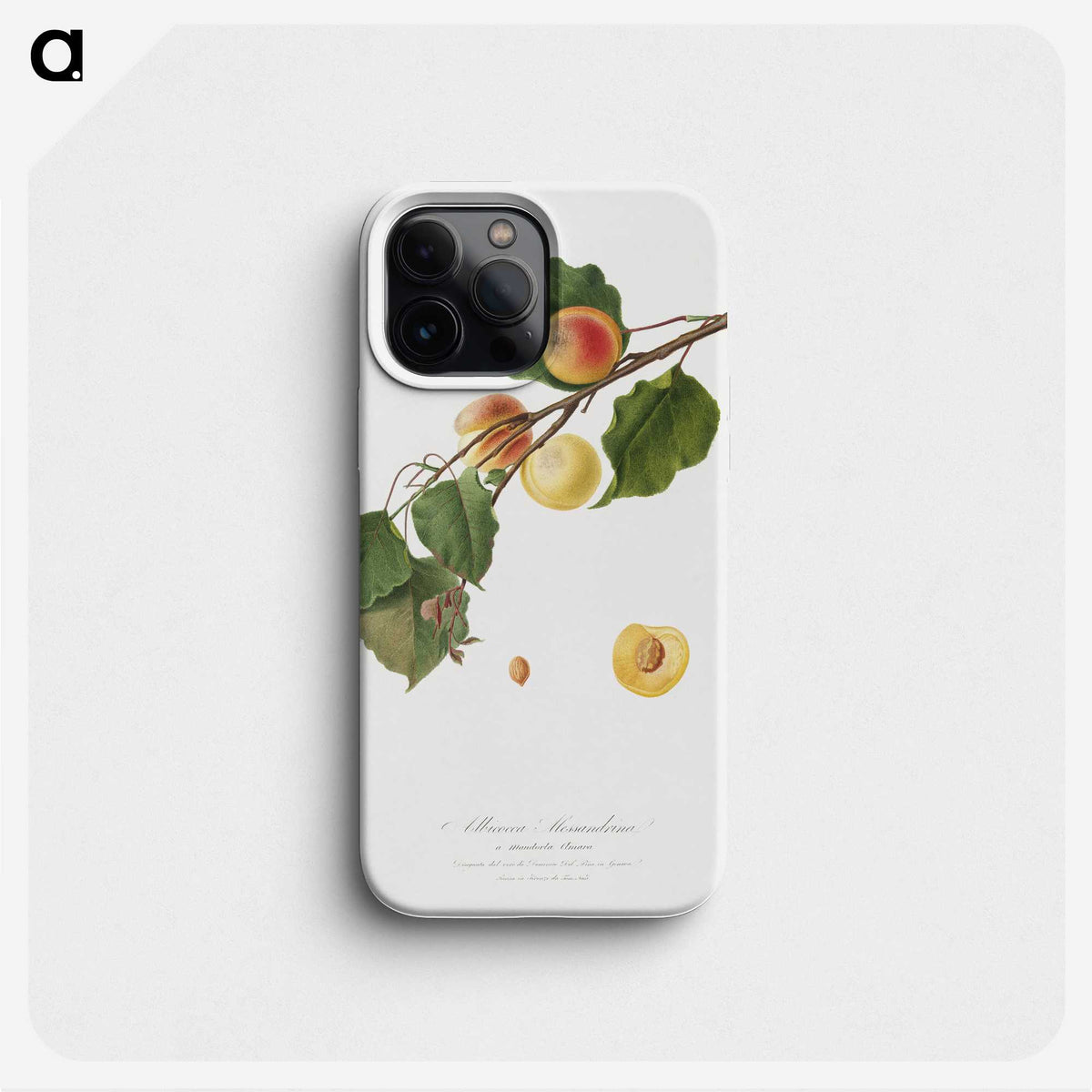 2-44_Pomona-Italiana_phone