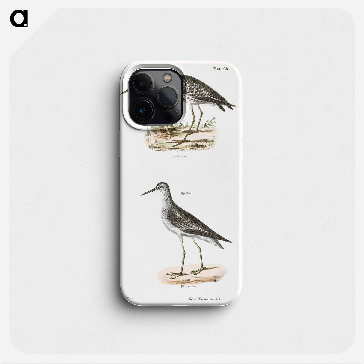 Varied Tatler (Titatus malenoleucus) 212. Yellowlegs (Totanus flavipes) illustration from Zoology of New York by - Zoology of New York Phone Case.