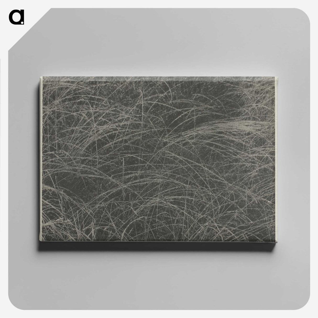 2-45_Alfred-Stieglitz_canvas
